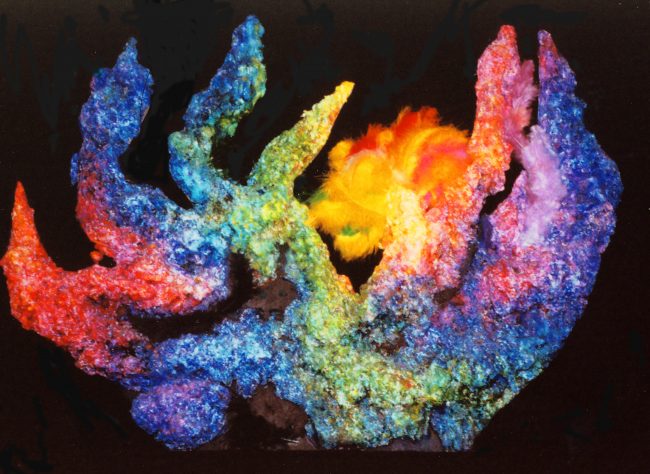 Feuervogel / L’oiseau du feu